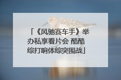 《风驰赛车手》举办私享看片会 酷酷综打响体综突围战