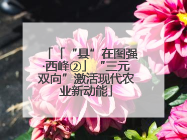 「“县”在图强·西峰②」“三元双向”激活现代农业新动能