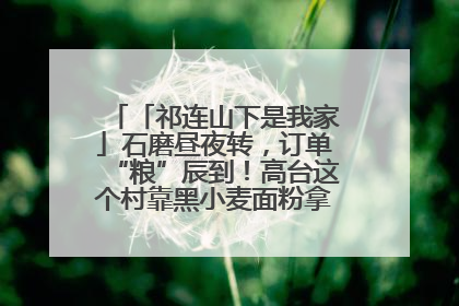 「祁连山下是我家」石磨昼夜转，订单“粮”辰到！高台这个村靠黑小麦面粉拿下成立来最大订单