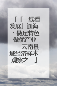 「一线看发展」通海：做足特色 做优产业——云南县域经济样本观察之二