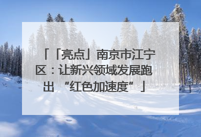 「亮点」南京市江宁区：让新兴领域发展跑出 “红色加速度”