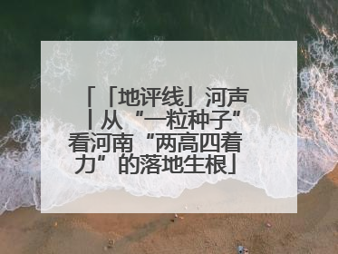 「地评线」河声丨从“一粒种子”看河南“两高四着力”的落地生根