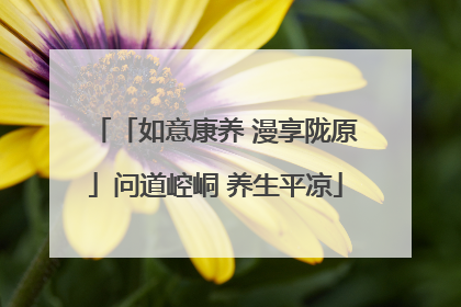 「如意康养 漫享陇原」问道崆峒 养生平凉