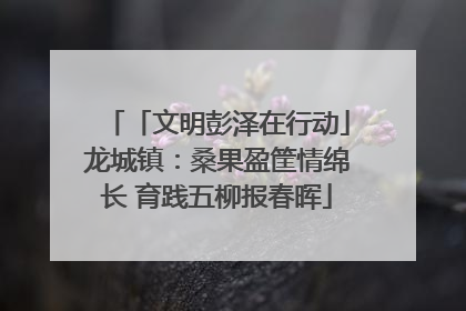「文明彭泽在行动」龙城镇：桑果盈筐情绵长 育践五柳报春晖