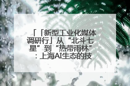「新型工业化媒体调研行」从“北斗七星”到“热带雨林”：上海AI生态的技术商业共生密码