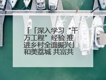 「深入学习“千万工程”经验 推进乡村全面振兴」和美荔城 共富共美 荔城区扎实推进乡村振兴工作