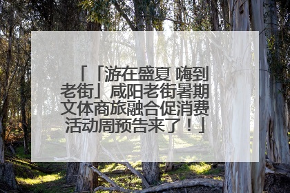 「游在盛夏 嗨到老街」咸阳老街暑期文体商旅融合促消费活动周预告来了！