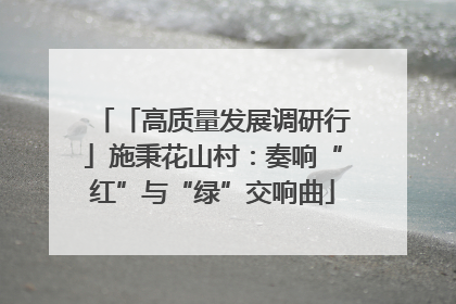 「高质量发展调研行」施秉花山村：奏响“红”与“绿”交响曲