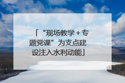 “现场教学＋专题党课”为支点建设注入水利动能