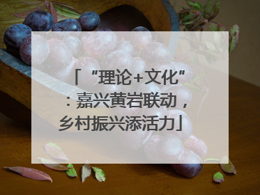 “理论+文化”：嘉兴黄岩联动，乡村振兴添活力