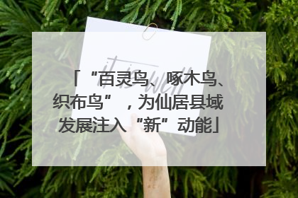 “百灵鸟、啄木鸟、织布鸟”，为仙居县域发展注入“新”动能
