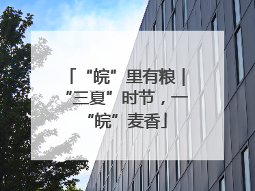 “皖”里有粮｜“三夏”时节，一“皖”麦香