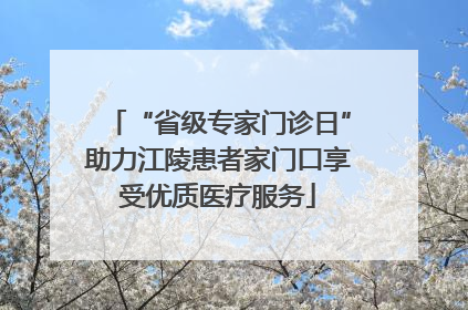 “省级专家门诊日”助力江陵患者家门口享受优质医疗服务