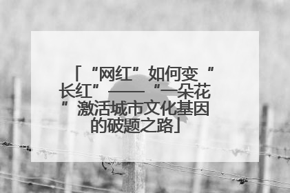“网红”如何变“长红”——“一朵花”激活城市文化基因的破题之路