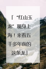 “红山玉龙”现身上海！来看五千多年前的这条龙