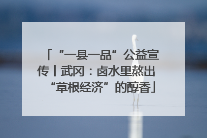 “一县一品”公益宣传丨武冈：卤水里熬出“草根经济”的醇香