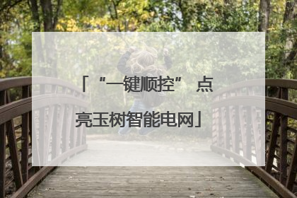 “一键顺控” 点亮玉树智能电网