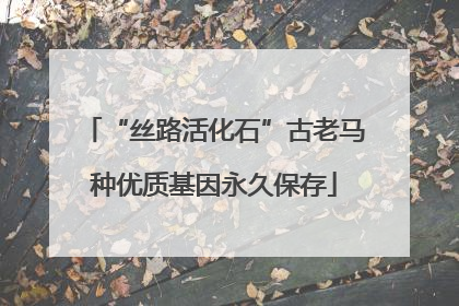 “丝路活化石”古老马种优质基因永久保存