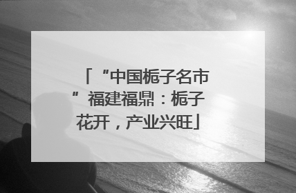 “中国栀子名市”福建福鼎：栀子花开，产业兴旺