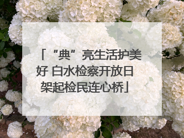 “典”亮生活护美好 白水检察开放日架起检民连心桥