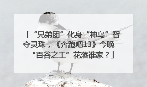 “兄弟团”化身“神鸟”智夺灵珠，《奔跑吧13》今晚“百谷之王”花落谁家？