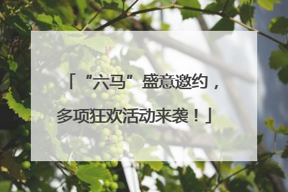 “六马”盛意邀约，多项狂欢活动来袭！