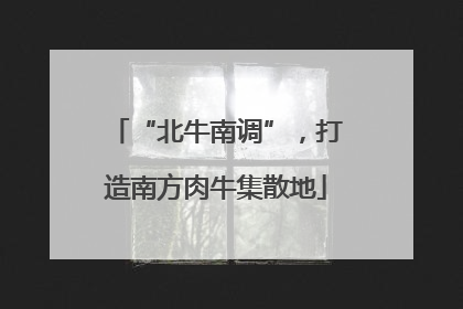 “北牛南调”，打造南方肉牛集散地