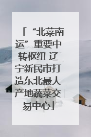 “北菜南运”重要中转枢纽 辽宁新民市打造东北最大产地蔬菜交易中心
