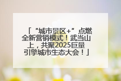 “城市景区+”点燃全新营销模式！武当山上，共聚2025巨量引擎城市生态大会！