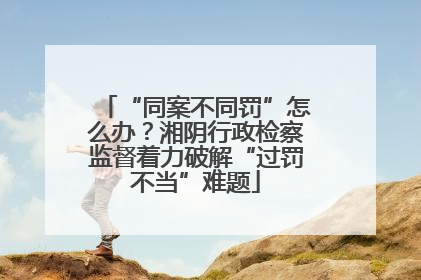 “同案不同罚”怎么办？湘阴行政检察监督着力破解“过罚不当”难题