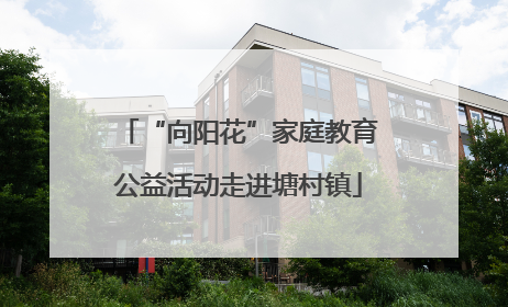 “向阳花”家庭教育公益活动走进塘村镇