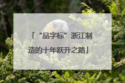 “品字标”浙江制造的十年跃升之路