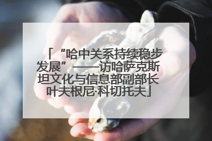 “哈中关系持续稳步发展”——访哈萨克斯坦文化与信息部副部长叶夫根尼·科切托夫