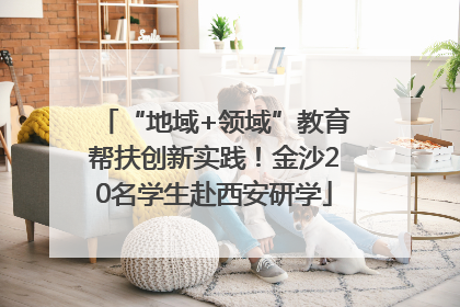 “地域+领域”教育帮扶创新实践！金沙20名学生赴西安研学