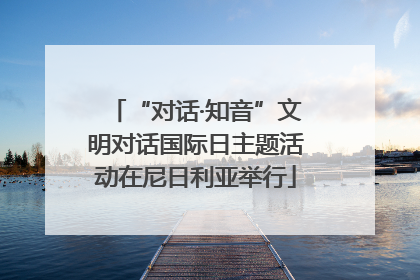 “对话·知音”文明对话国际日主题活动在尼日利亚举行