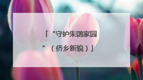 “守护朱鹮家园”（侨乡新貌）