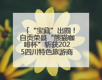 “宝藏”出圈！自贡荣县“熊猫咖啡杯”斩获2025四川特色旅游商品大赛铜奖