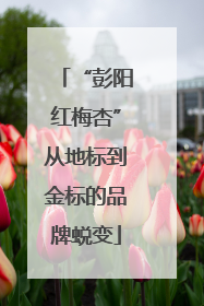 “彭阳红梅杏”从地标到金标的品牌蜕变