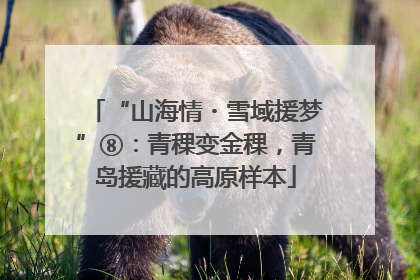 “山海情・雪域援梦”⑧：青稞变金稞，青岛援藏的高原样本