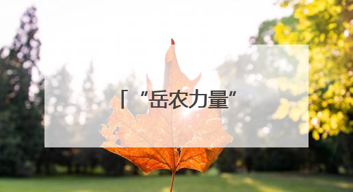 “岳农力量”绽放第四届湖南旅发大会