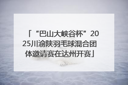 “巴山大峡谷杯”2025川渝陕羽毛球混合团体邀请赛在达州开赛