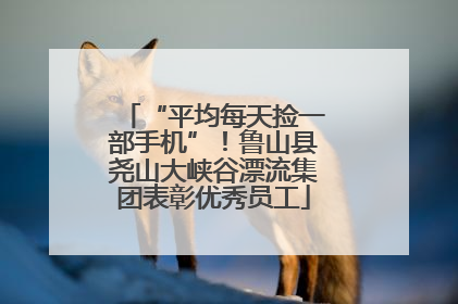 “平均每天捡一部手机”！鲁山县尧山大峡谷漂流集团表彰优秀员工