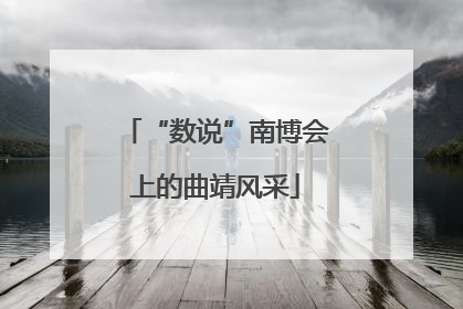 “数说”南博会上的曲靖风采
