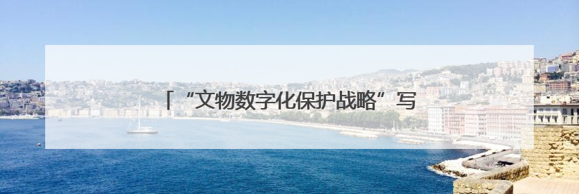 “文物数字化保护战略”写入法规，守护文明需担当