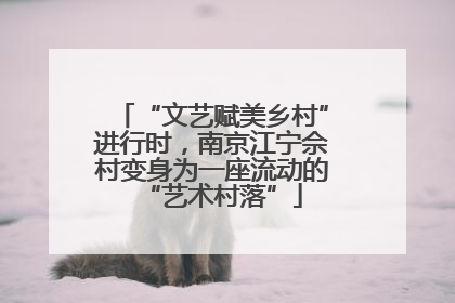 “文艺赋美乡村”进行时，南京江宁佘村变身为一座流动的“艺术村落”