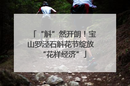 “斛”然开朗！宝山罗泾石斛花节绽放“花样经济”