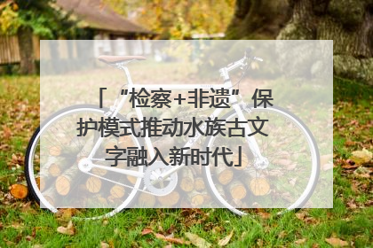 “检察+非遗”保护模式推动水族古文字融入新时代