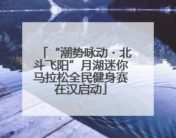 “潮势咏动・北斗飞阳”月湖迷你马拉松全民健身赛在汉启动