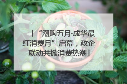 “潮购五月·成华最红消费月”启幕，政企联动共掀消费热潮