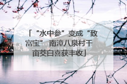 “水中参”变成“致富宝” 南漳八泉村千亩茭白喜获丰收